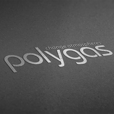 Realizzazione logo Polygas